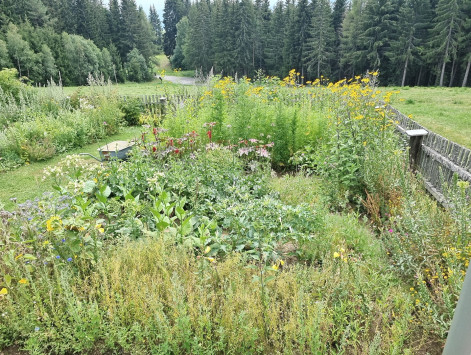 DJI_20220806_140135_266