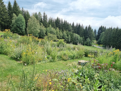 DJI_20220806_140149_267