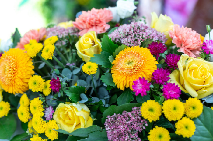 Blumenolympiade 2022