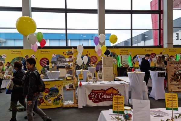 20221112_093733 20221112_093733