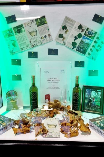 314491831_508330998000904_4202736097070591727_n 314491831_508330998000904_4202736097070591727_n