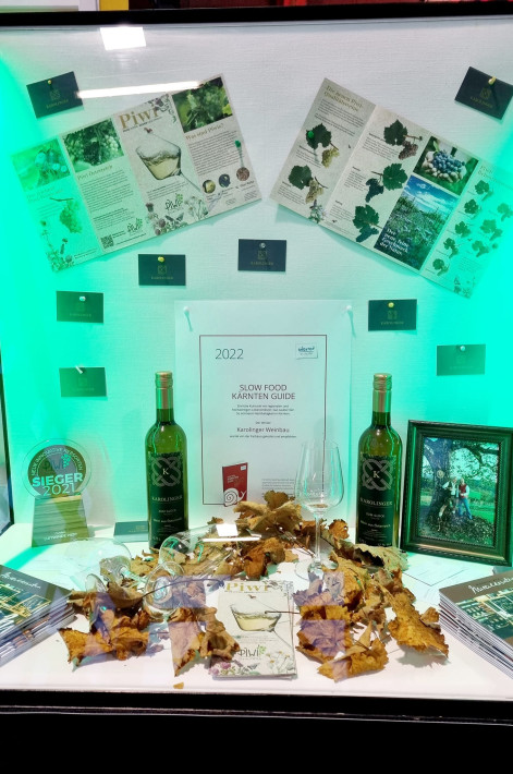 314491831_508330998000904_4202736097070591727_n