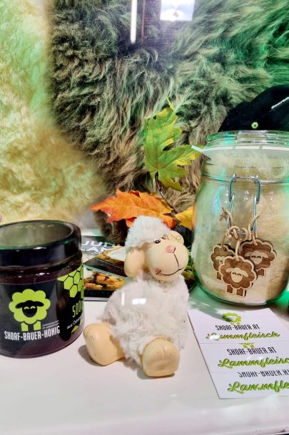 315196964_508330884667582_870178960061864649_n 315196964_508330884667582_870178960061864649_n