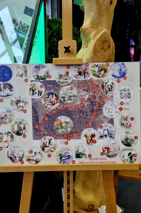 315367975_508331964667474_8079206632375971801_n