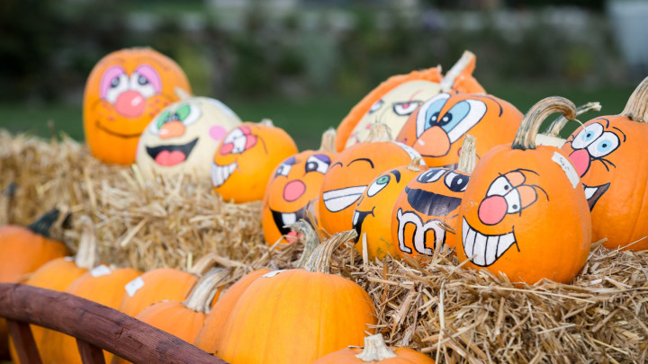 Bauern- und Regionalmarkt: Schmankerln und Unterhaltung