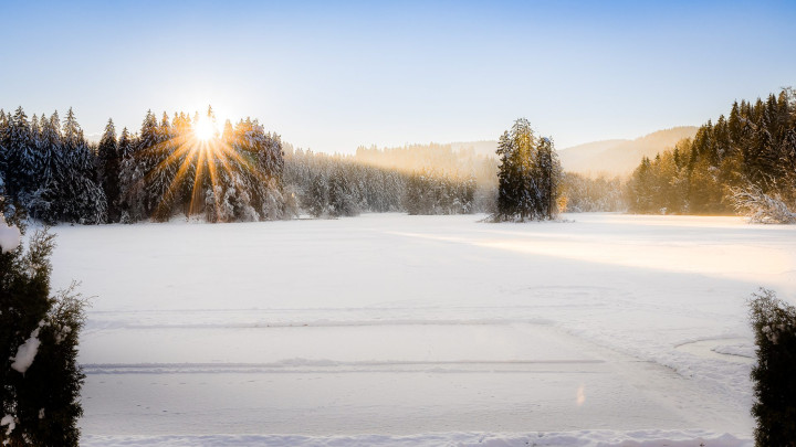 Frohe Weihnachten und ein gesundes, glückliches Jahr 2023!
