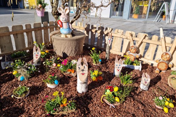 20230316_155701 20230316_155701