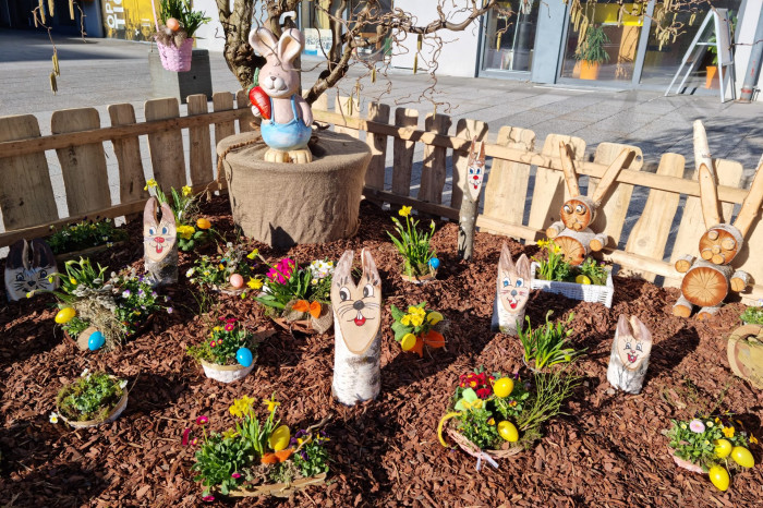 20230316_155701 20230316_155701