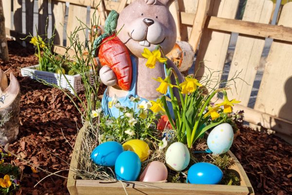 20230316_155847 20230316_155847