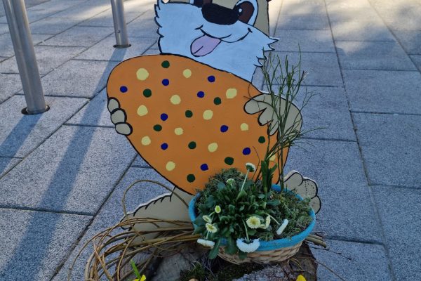 20230316_160113 20230316_160113