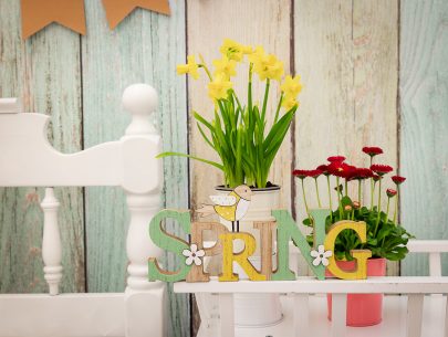 _F9A4103_web _F9A4103_web