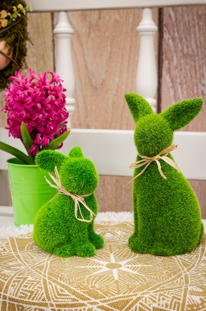 _F9A4105_web _F9A4105_web