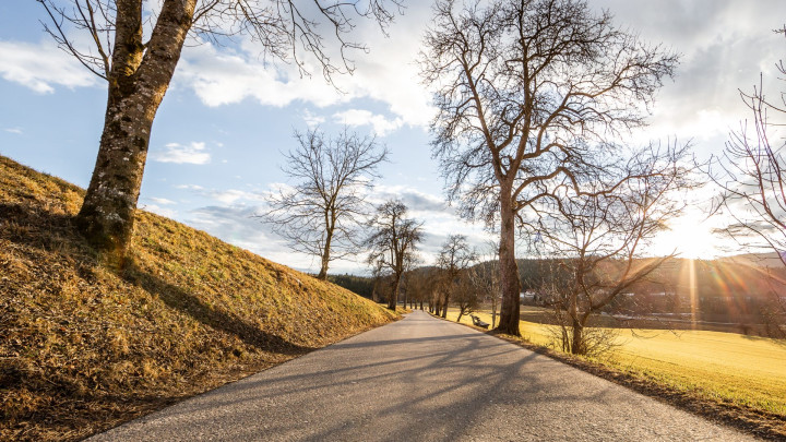 Wir halten unser Tigring sauber!