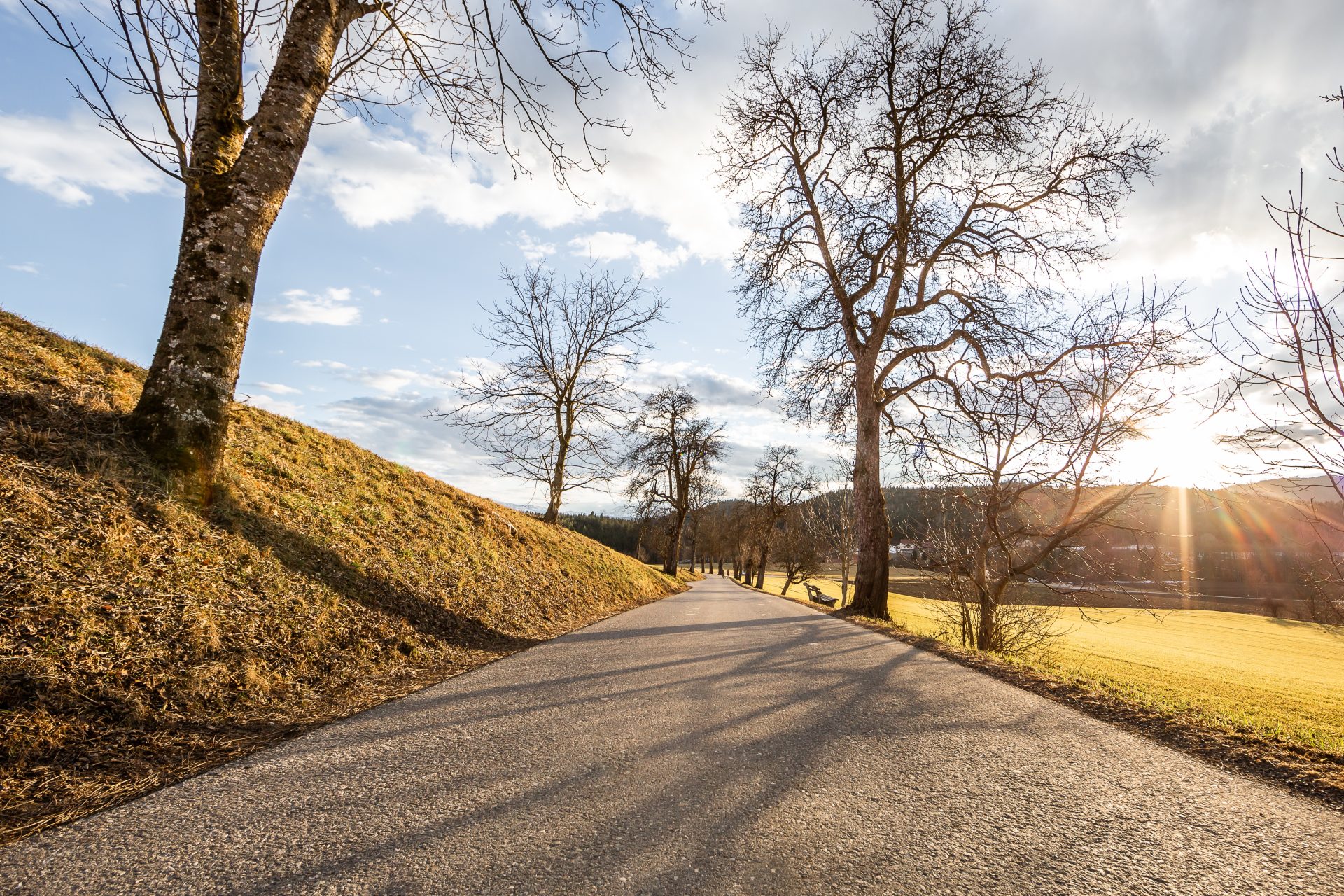 Wir halten unser Tigring sauber!