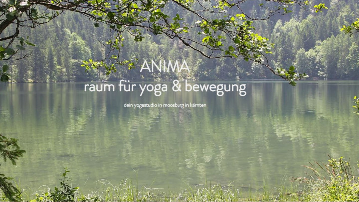 ANIMA - neuer Sommerkursplan