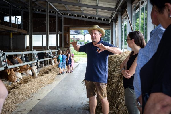 230__O2A9684 230__O2A9684