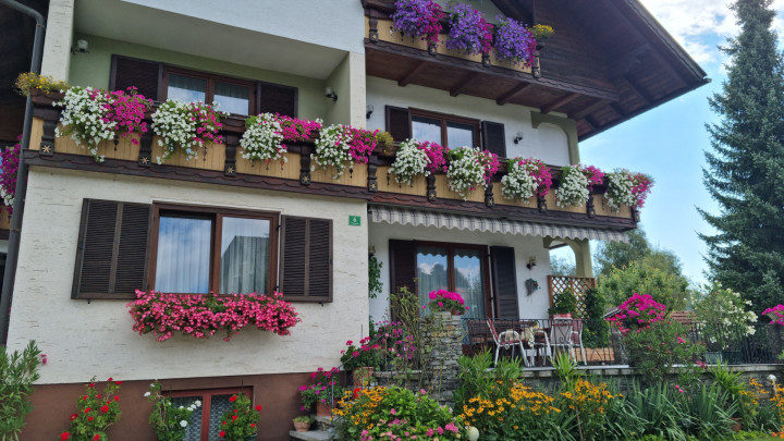 Vielen Dank für Blumen