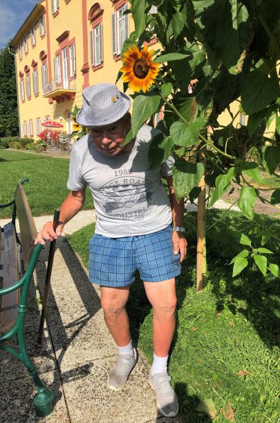 Sonnenblume 4 Walter Sonnenblume 4 Walter