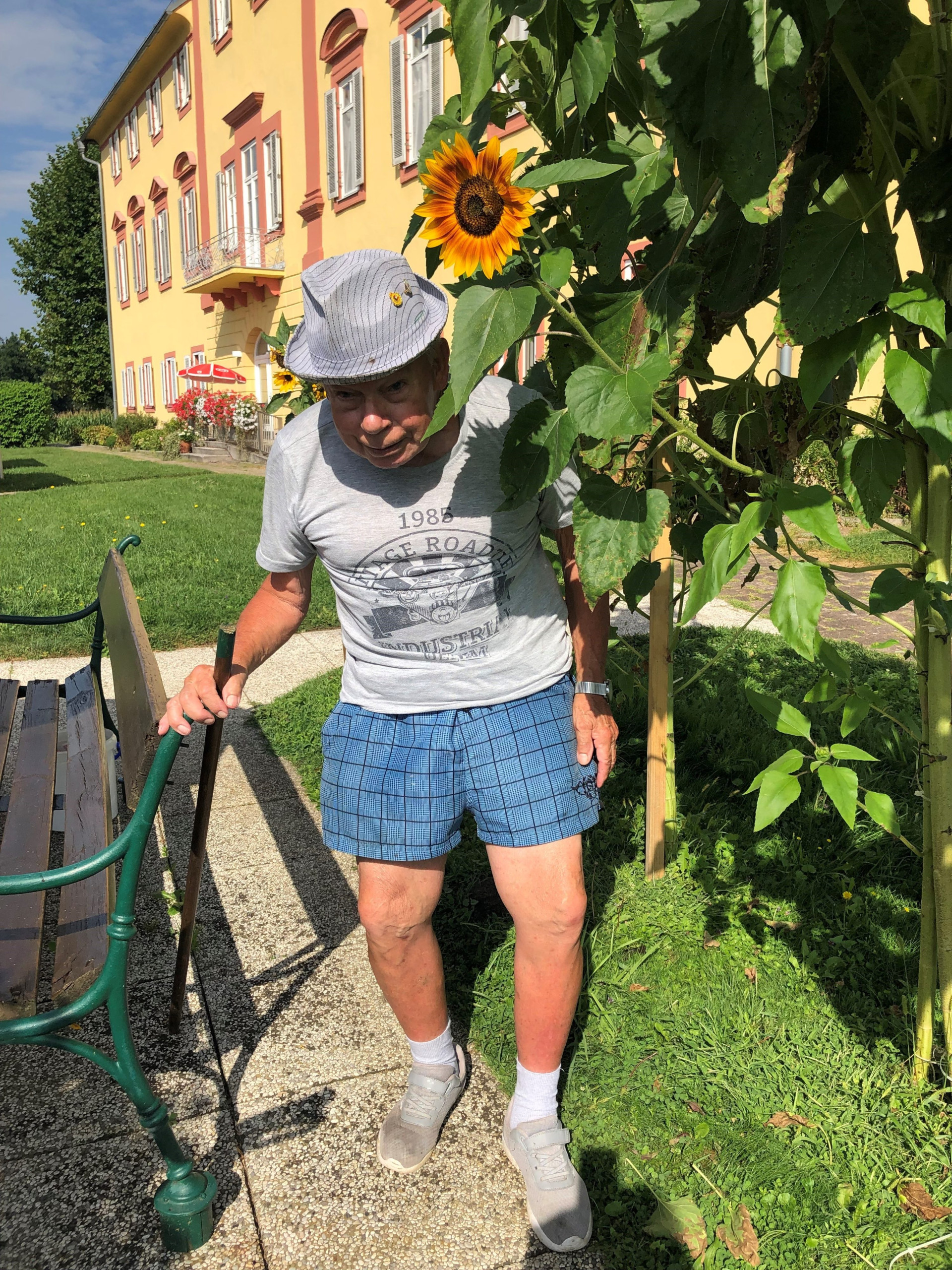 Sonnenblume 4 Walter Sonnenblume 4 Walter