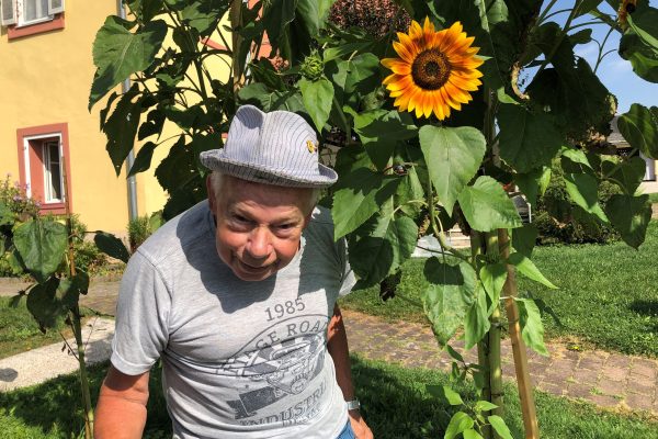 Sonnenblume 5 Walter Sonnenblume 5 Walter