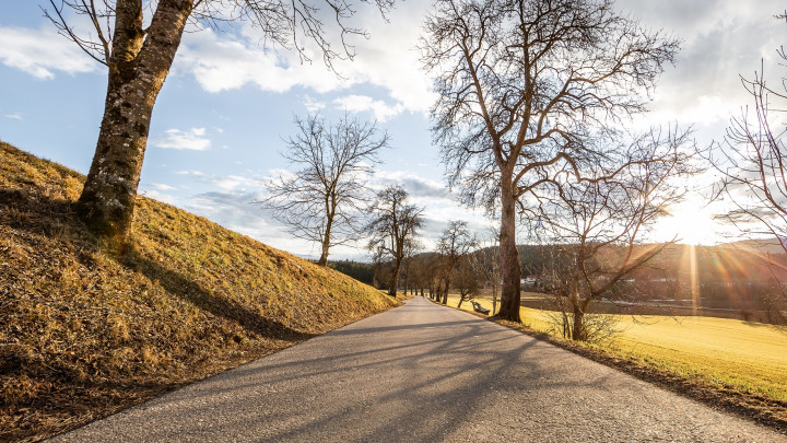 Dorfgemeinschaft Tigring: Einladung zum Allee-Fest