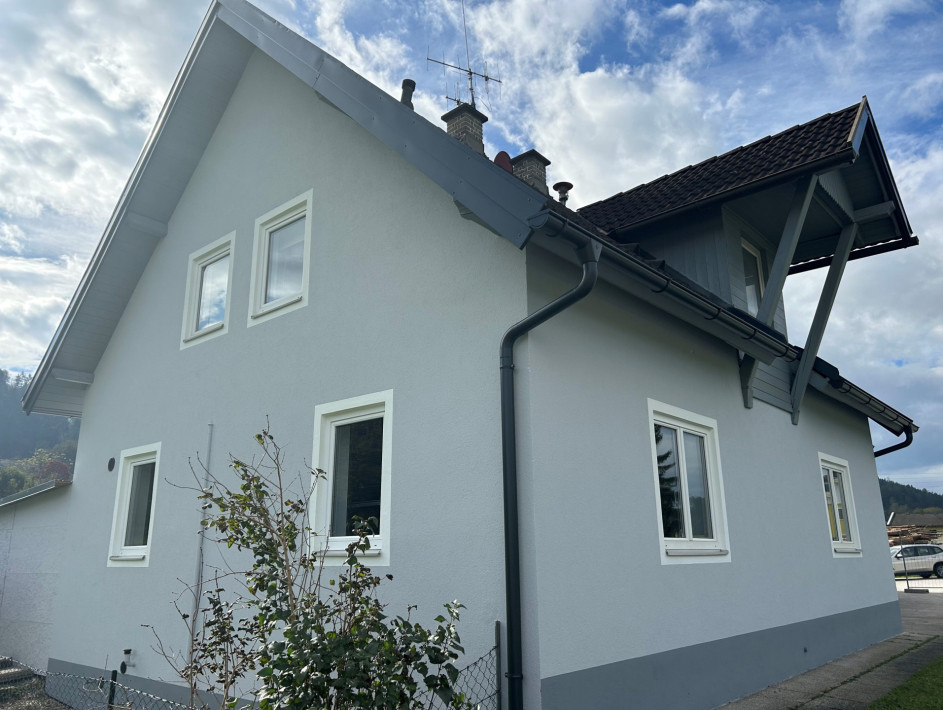 FF Haus Sanierung 2
