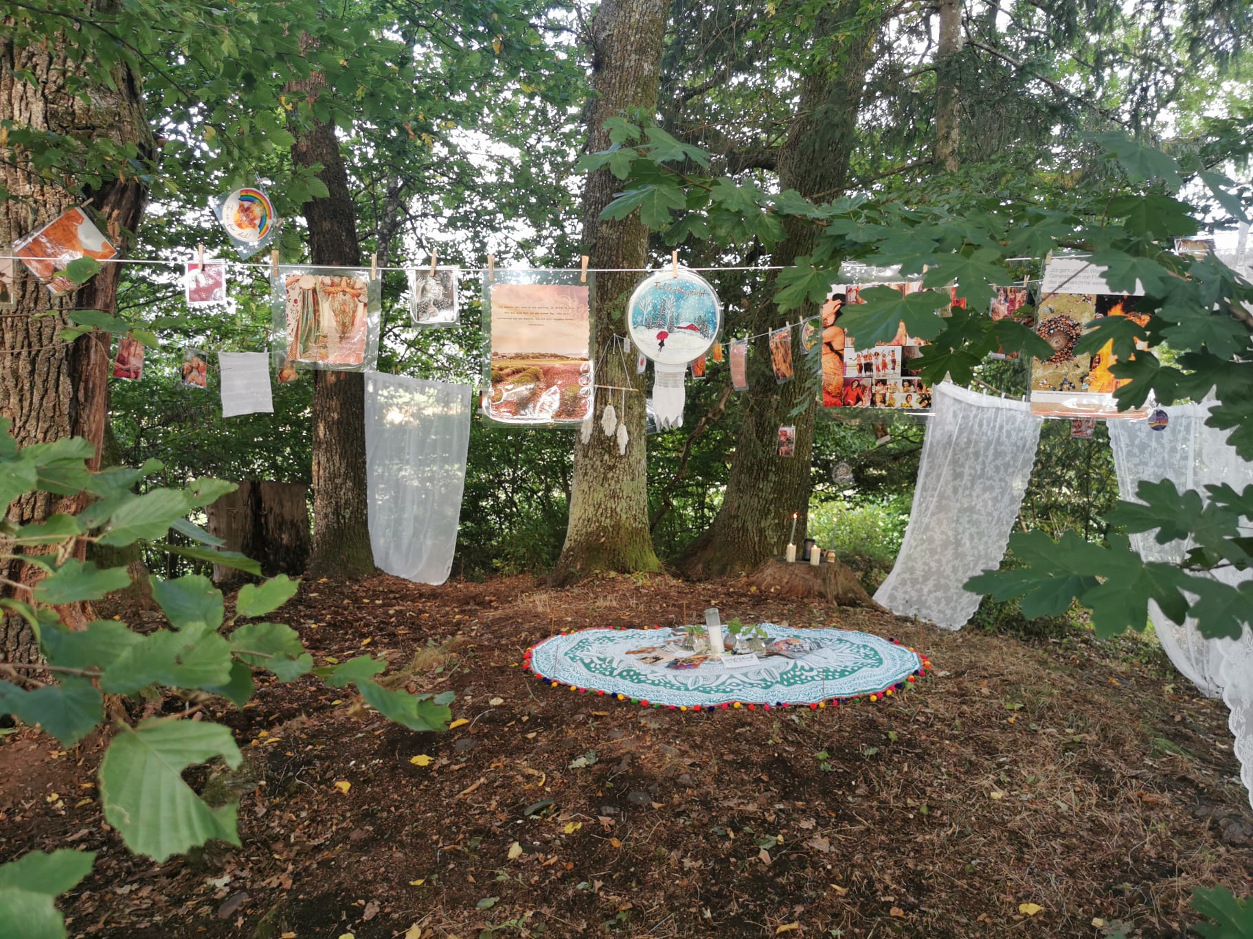 cb077356-b672-4031-bd78-5d65886fccc4 cb077356-b672-4031-bd78-5d65886fccc4