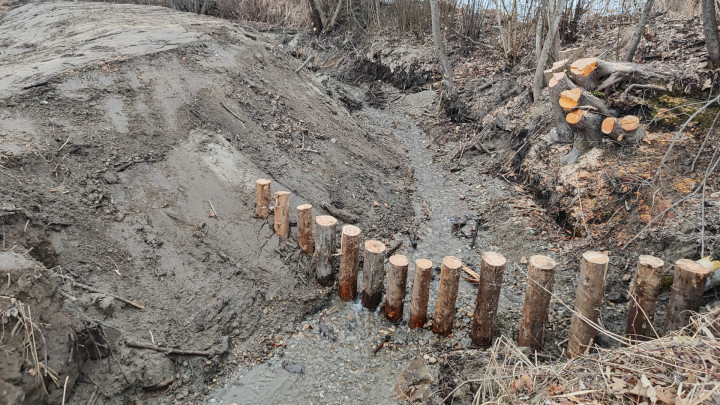 Neuer "Wildrechen" im Witschbach