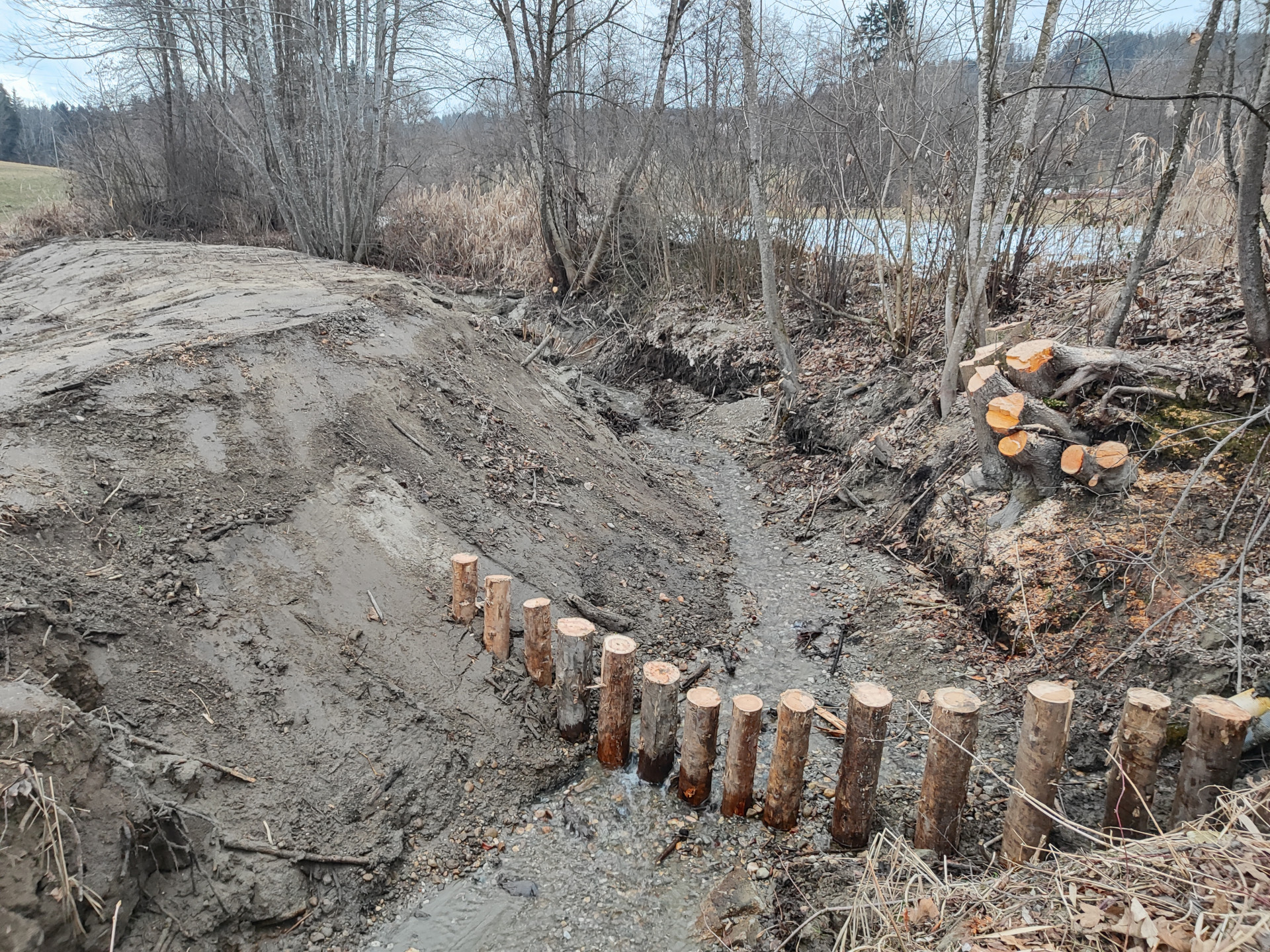 Wildrechen Wildrechen