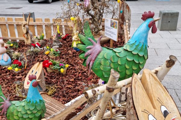 20240229_101112 20240229_101112