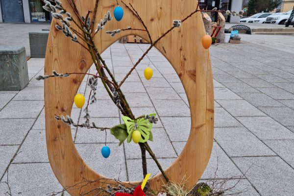 20240229_105017 20240229_105017