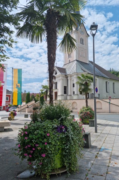 20240801_121312 20240801_121312