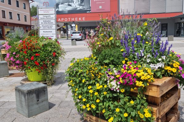 20240801_121440 20240801_121440