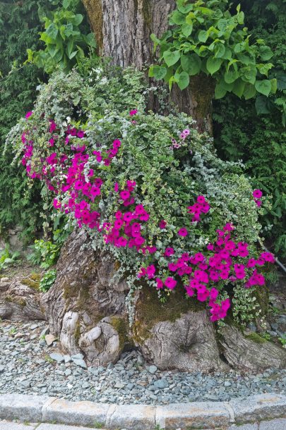 20240801_121708 20240801_121708