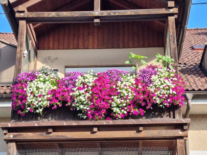 20240731_080546 20240731_080546