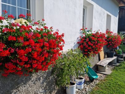 20240731_091002 20240731_091002