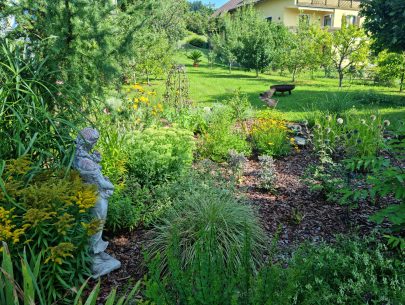 20240731_095150 20240731_095150