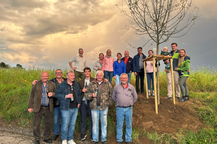 Baum der Freundschaft