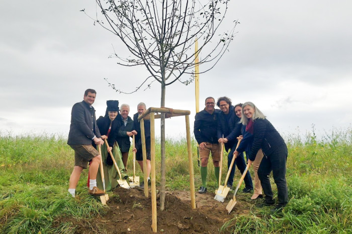 Baum der Freundschaft1_opt