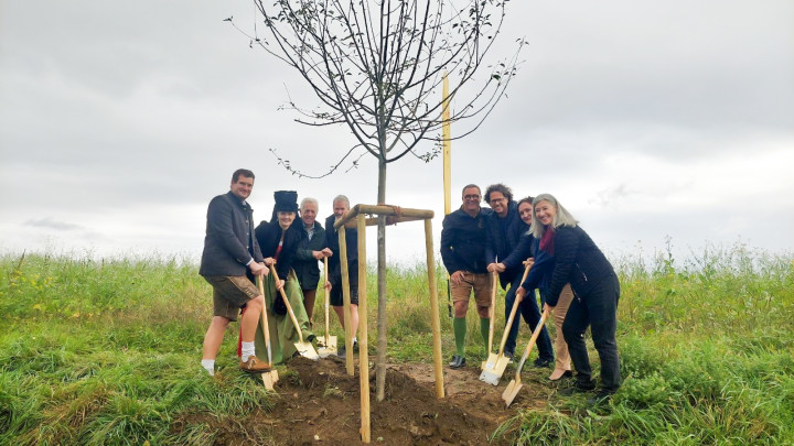 Baum der Freundschaft gepflanzt