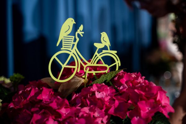 Blumenolympiade 2024 Blumenolympiade 2024