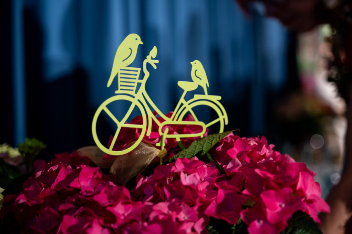 Blumenolympiade 2024 Blumenolympiade 2024