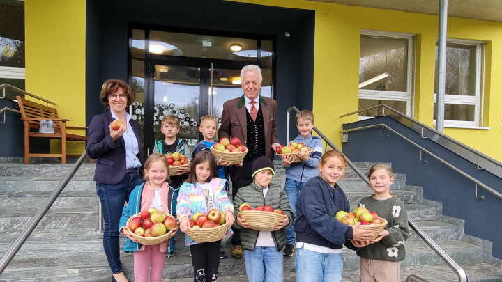 Obst und Gemüselieferung für unsere Kids