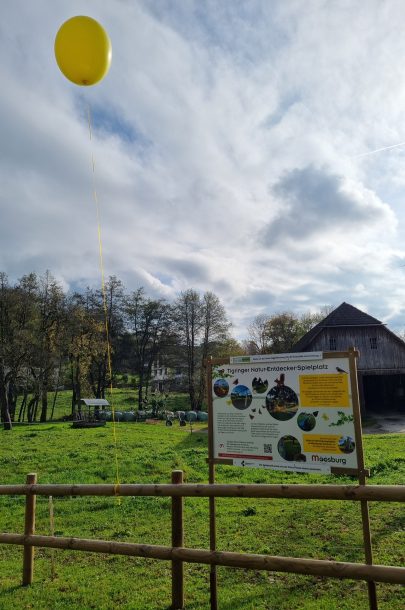 20241025_144925 20241025_144925