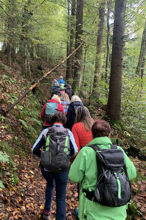 image00006 image00006