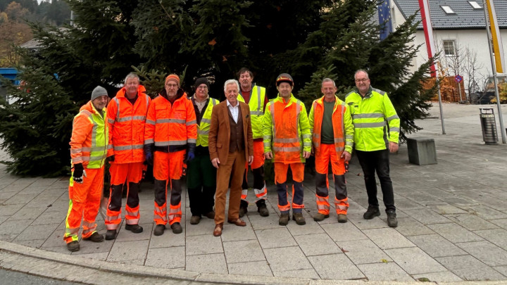 Kärntens schönster Christbaum aufgestellt
