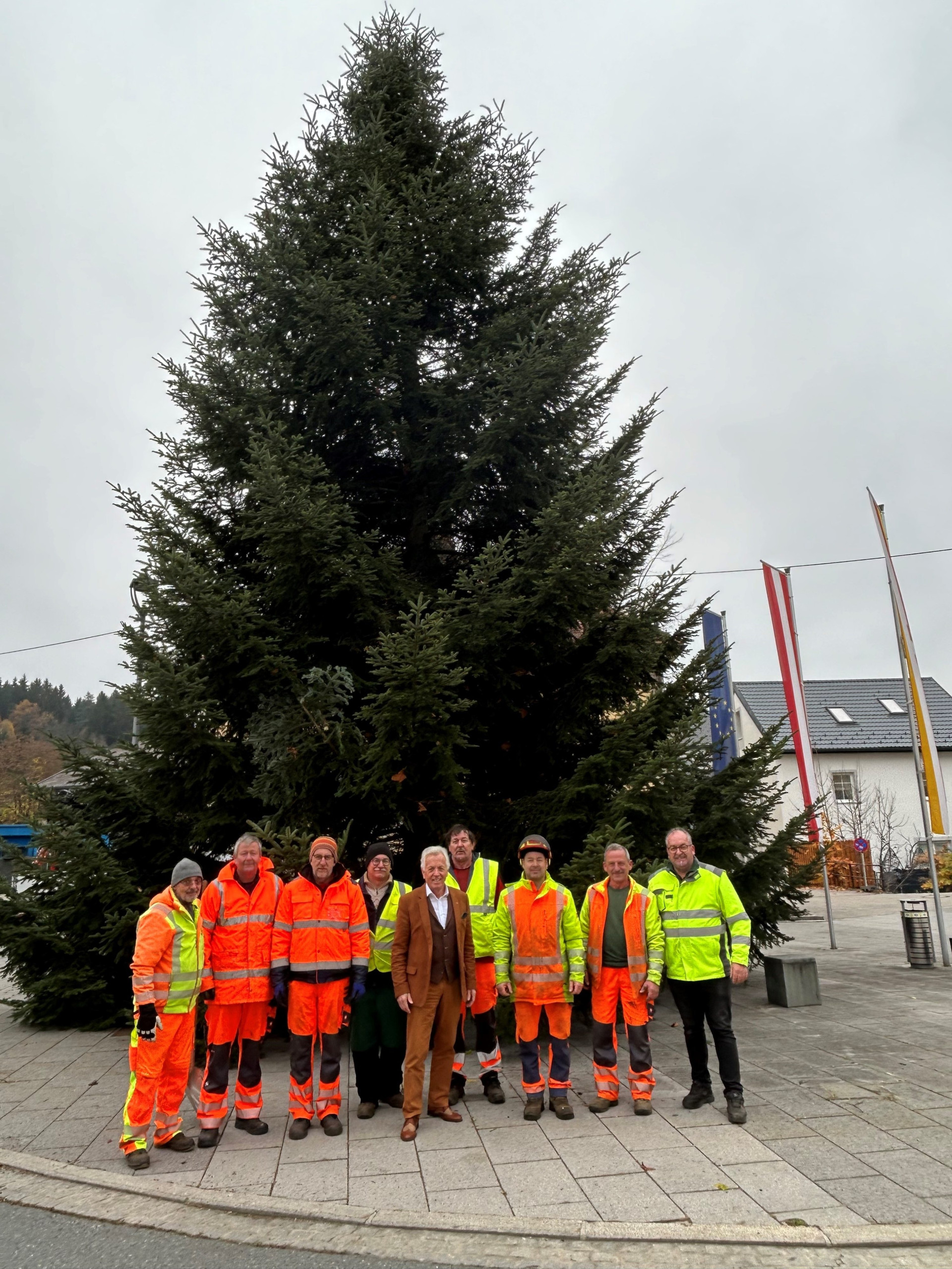 Christbaum1 Christbaum1