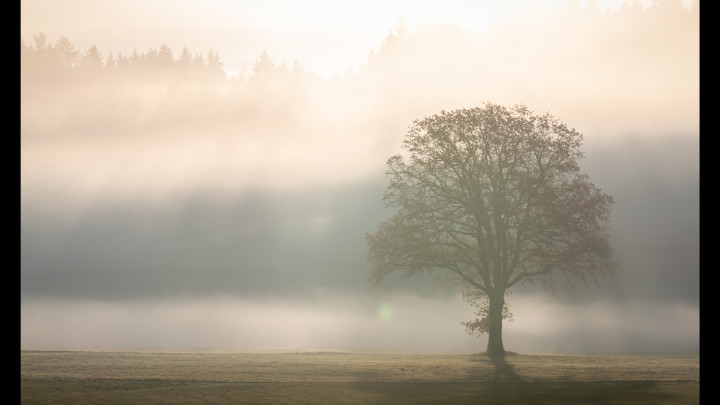 Die Marktgemeinde Moosburg trauert
