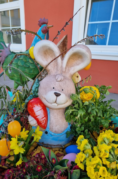 20250321_082731 20250321_082731