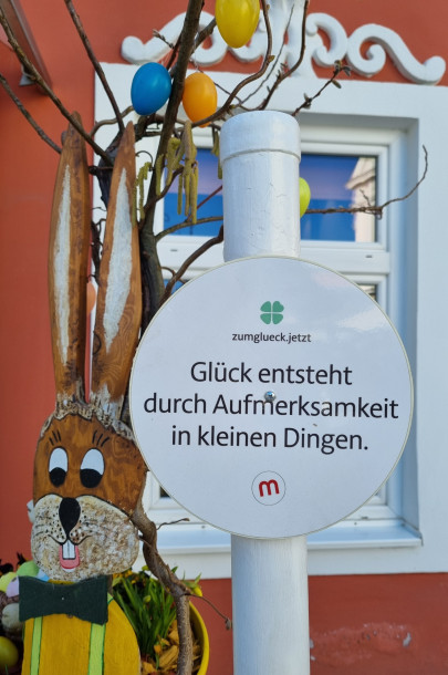 20250321_082901 20250321_082901